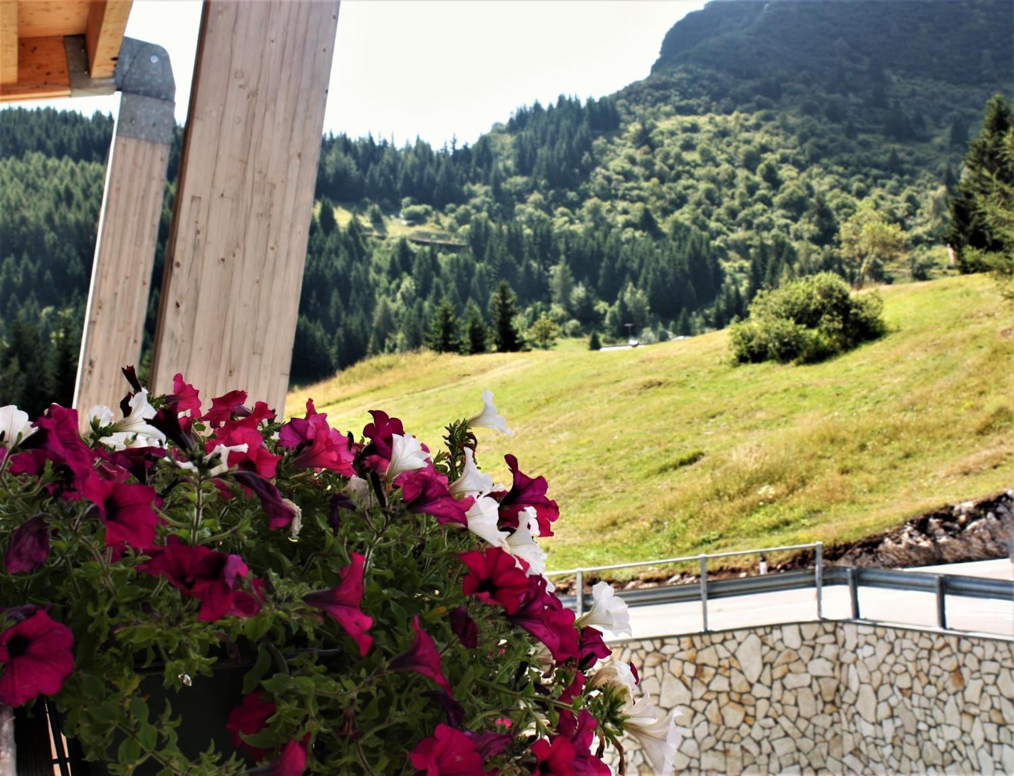 Brenta Dolomites Hotel Vason Buitenkant foto