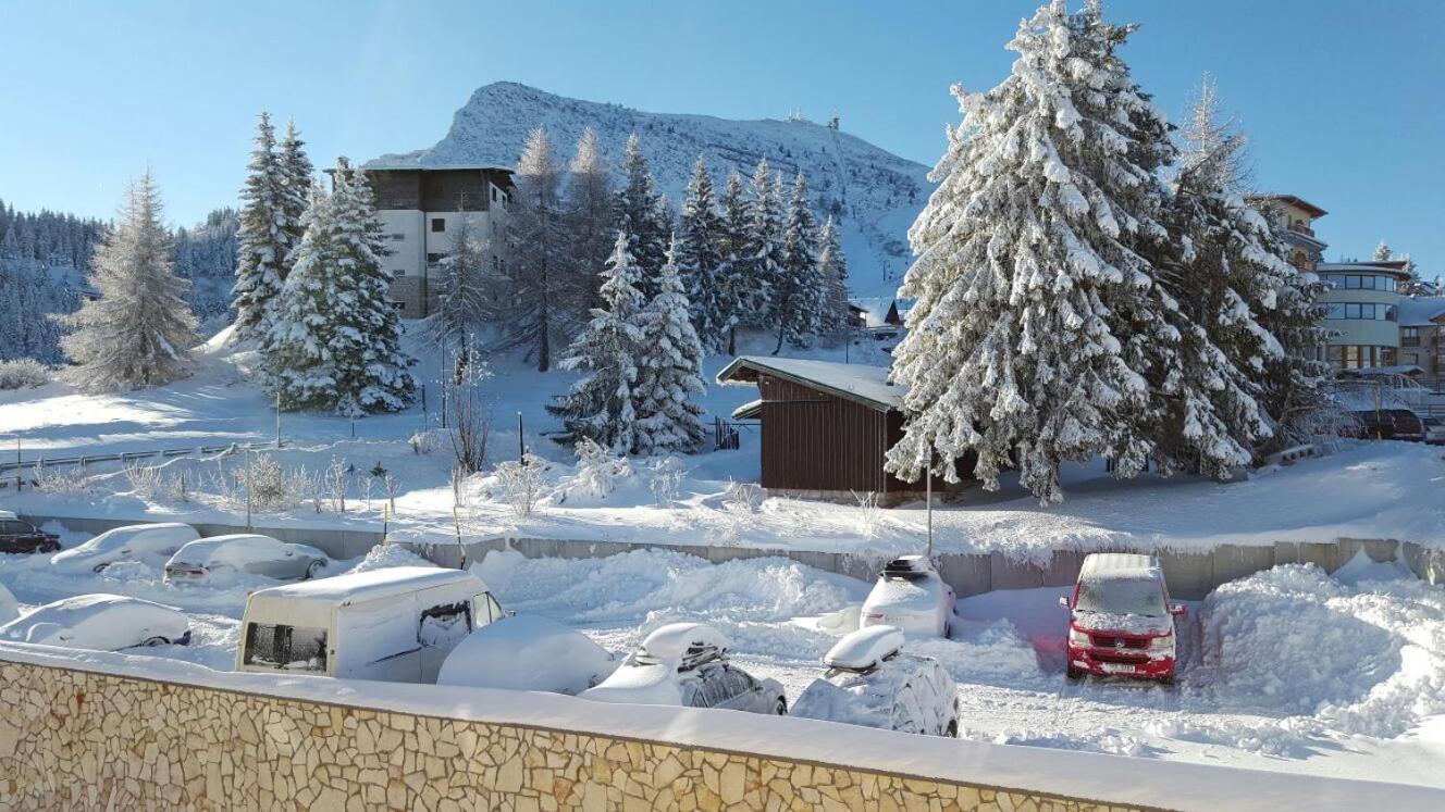 Brenta Dolomites Hotel Vason Buitenkant foto